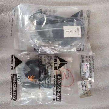 SDLG Seal kits 4120000866112 for LG Wheel Loader with good price