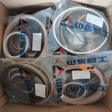 SDLG Seal kit 4120007577008 for LG Wheel Loader with good price