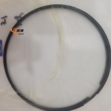 0730513421 Buy 0730513421 ZF SNAP RING