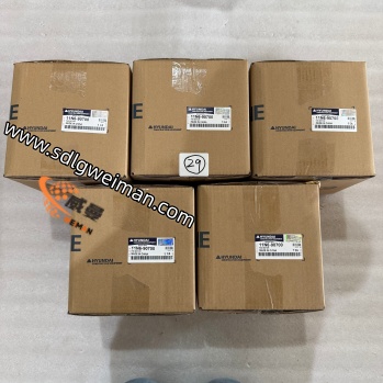 11N6-90700-3 (1).jpg