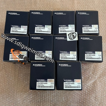 F01G0V3000-2 (1).jpg