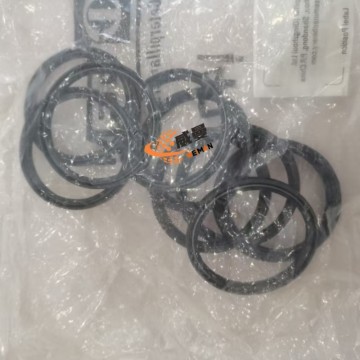 SEM 5188760 skeleton oil seal 0.2kg for machine with Good Quality and Price