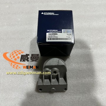 ORIGINAL HYUNDAI Fuel Filter Head 3930969 HIGH QUALITY HOT SALE