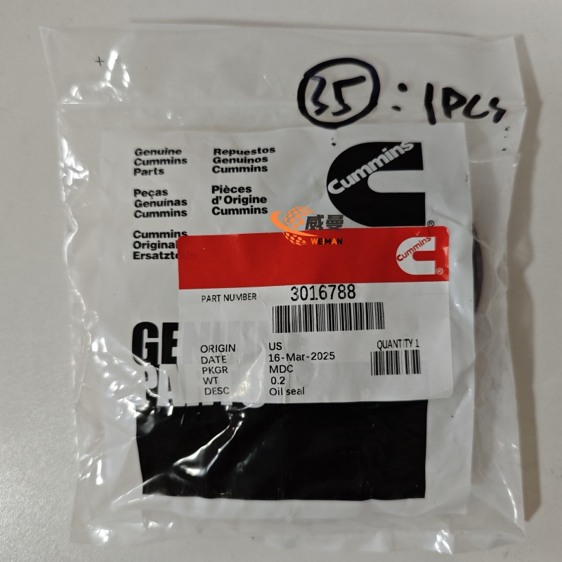 油封3016788SEAL, OIL2.jpg