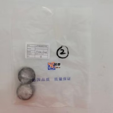 ZF Piston Ring 0734401106 for Zf Transmission with good price