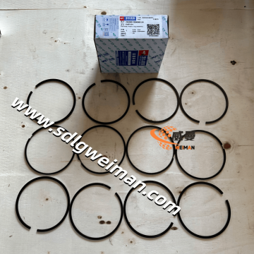 YUCHAI Plston ring assembly DK300-1004040-U4  for YUCHAI excavator