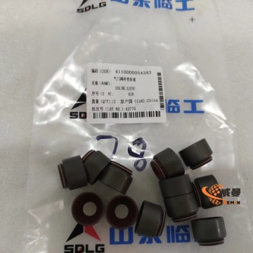 SDLG LG936L & LG938L Valve Stem Seal (Part No. 4110000054243) - 0.01kg