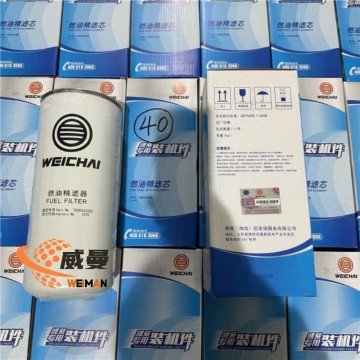Wechai  1000422382   FUEL FILTER for machine with Good Quality and Price