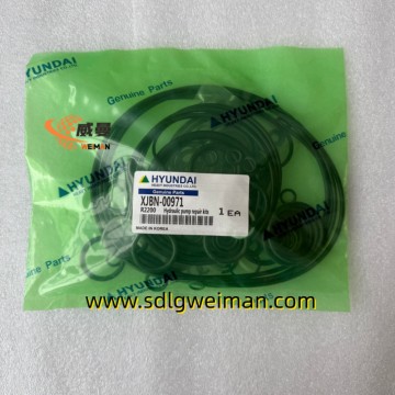 Hyundai XJBN-00971 Main pump seal kit-1pcs-0.1kgs For Hyundai R210LC7 RC215C7 RD220-7 excavator