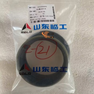 SDLG 4043000055 Sealing Ring 0.15kg for LG953 Wheel Loader with good price