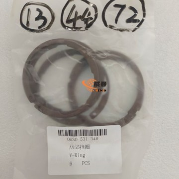 ZF 0630531346 V-Ring AV55 4110000076298 for machine with Good Quality&Price