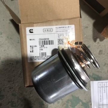 G5448899 Thermostat