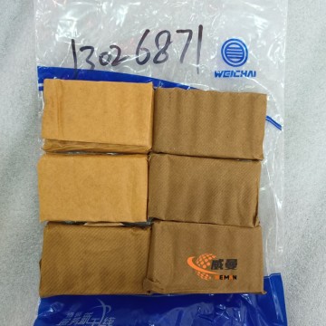 Weichai Intake Valve Guide-13062451, 13026871 for Weichai engine models