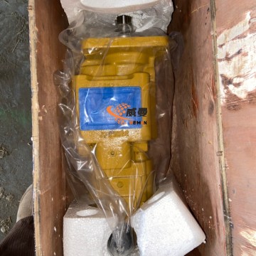 Original Lovol Gear Pump 9F560-56B010000A0 for FL956H Wheel Loader