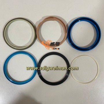 Doosan 2440-9186AKT Sealing kit for Doosan evcavator DX220、DX225LC spare parts