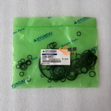Hyundai XJBN-00972 Seal Kit-0.05kgs for R210LC-7 excavator