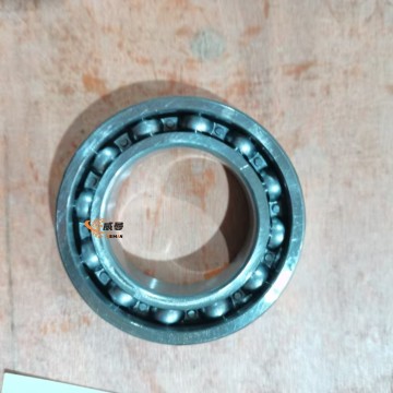 4021000009  SDLG Bearing