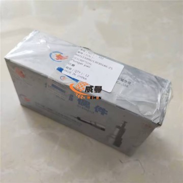 860117396 13030186 Plunger pair of injection pump for engine Deutz TD226B-6 / WP6G