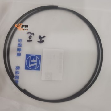 0730513419 Retaining ring