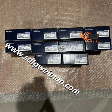 Hyundai SEAL KIT SWING MOTOR 39Q6-11700 for Hyundai Excavator R235LCR-9