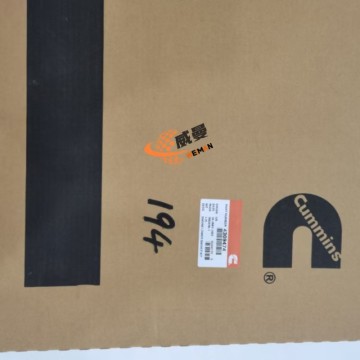 Cummins G4309474 Lower gasket pack 1.4kg for machine with Good Quality and Price