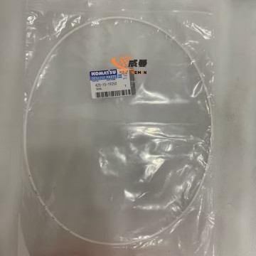 Komatsu 425-15-19250 Sealing Ring for machine with Good Quality&Price
