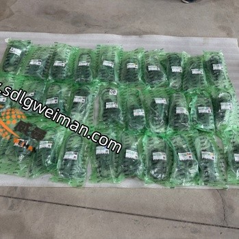 DOOSAN & DEVELON 25239016 MOTOR STOP