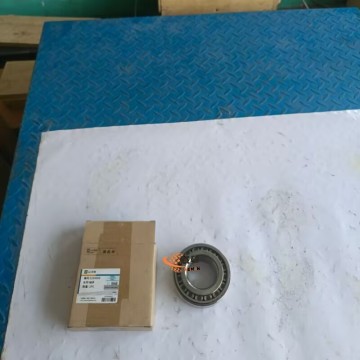 SEM 5194969 W44000119 Bearing 1kg for Machine with good price