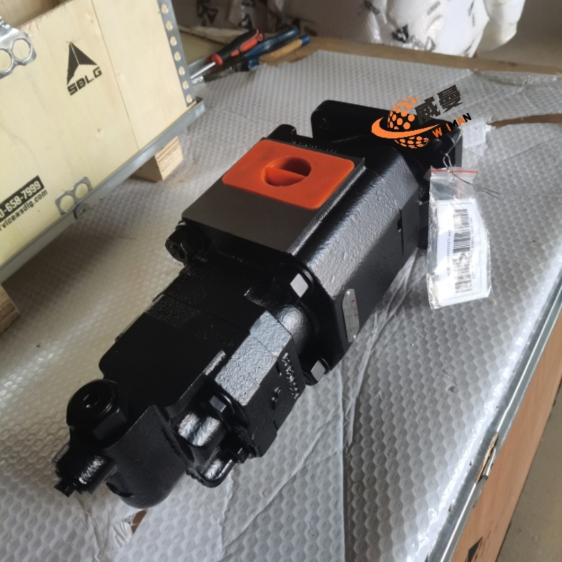 4120006911双联泵12510 (2).jpg