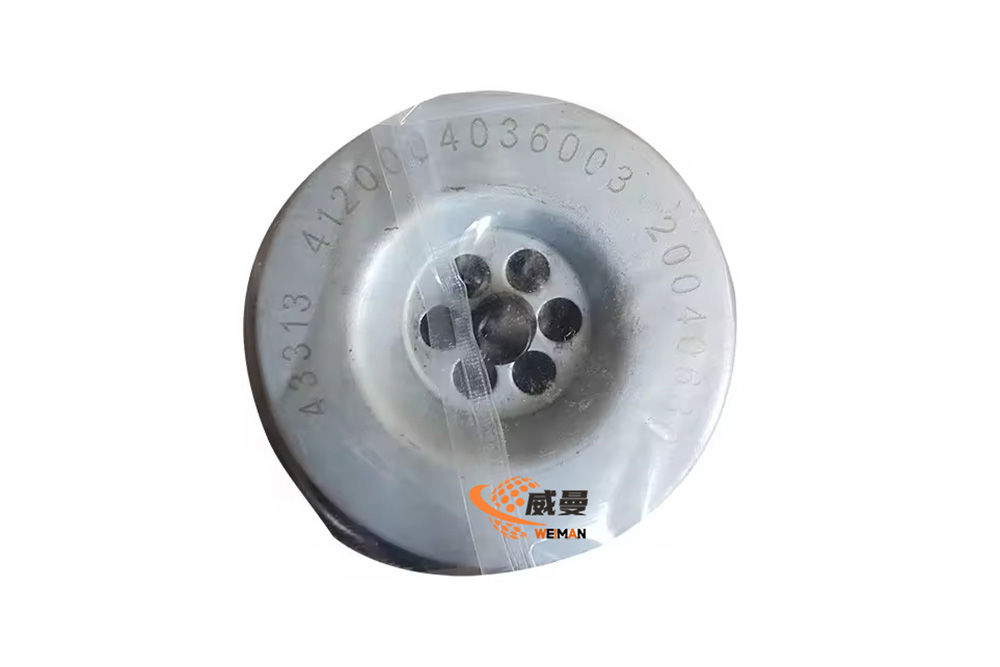 4120004036003 oil filter