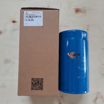 Original SDLG 4110000589001 Diesel Filter 0.8kg for machine with good price