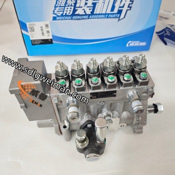 1000950888 ECFI Pump Assembly for diesel Engine TD226B-6 WP6G125E22 Spare Parts