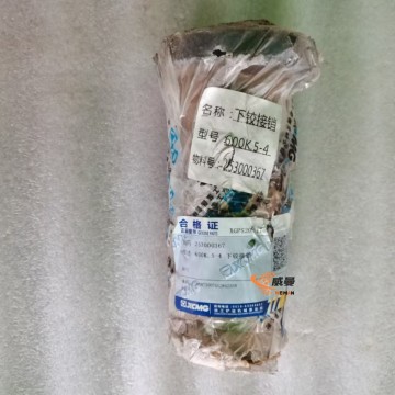 253000367 Lower hinge pin