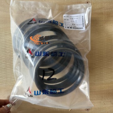 The Original SDLG 4043000095 SEALING RING FOR SDLG L968F WHEEL LOADER