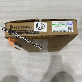 DOOSAN & DEVELON 300611-00042N CONTROL