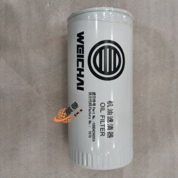 Weichai 1000424655 fuel filter element for machine with Good Quality and Price