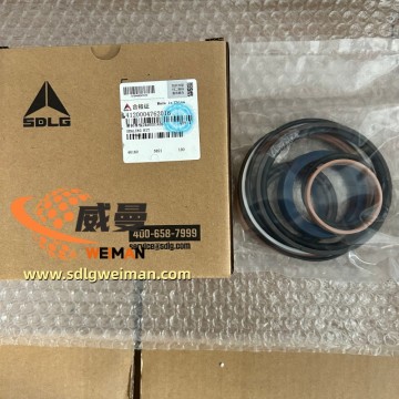 ORIGINAL SDLG 4120004762016  Cylinder Sealing Kit  APPLY FOR Motor Grader G9165 G9180 G9190 G9220