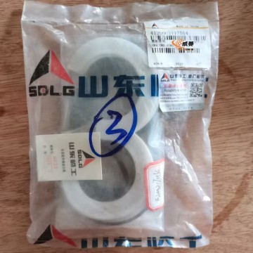 SDLG 4120002117014 Sealing Ring Kit 0.1kg for machine with good price