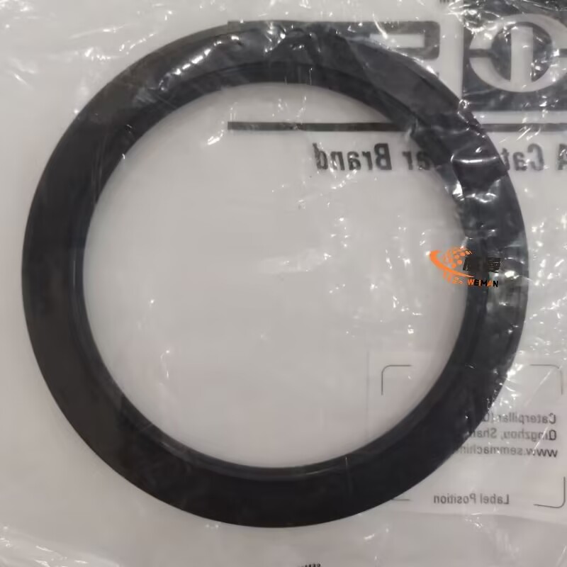 9528E82BDBD474808E457A7E81B217F1