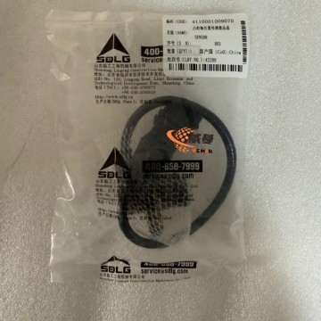 The Original SDLG 4110001009070 Senor for LG936L、LG958L、LG968L Wheel loader with good quality and price