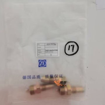 Hot Sale ZF 0501317160 Sensor 0.08kg for Transmission 4wg200 with good price