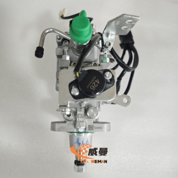 Excavator Fuel Injection Pump 0002060286 0002060266 NJ-VE/11E1250R149 NJ-VE4/11E1100R216 0005060098 for Quanchai Engine 4D27G31 4D27ZT32/656-1