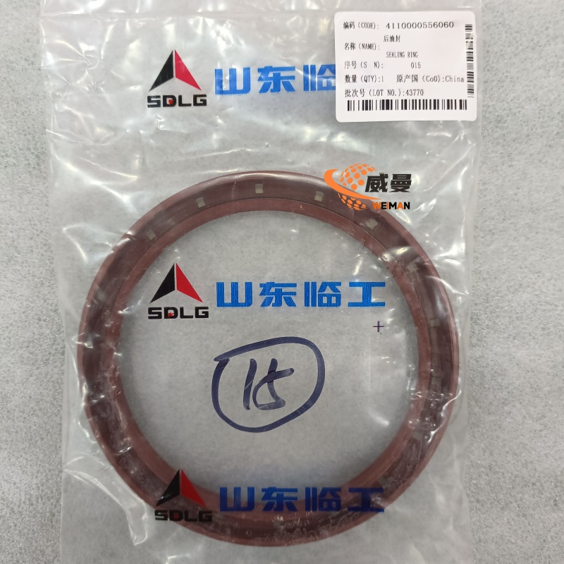 4110000556060 后油封 0