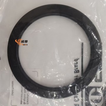 5386709  0.15kg W44000010 Oil seal 5386709 SEM