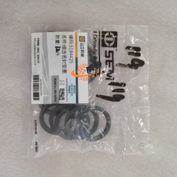 SEM 5184425 gasket for machine with Good Quality and Price