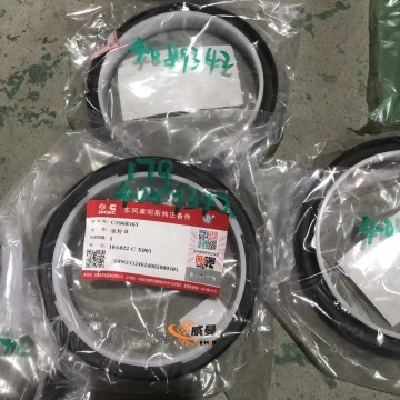 C4089342 Crankshaft oil seal