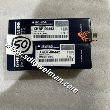 Hyundai VALVE KIT XKBF-00442  for Hyundai Excavator  R210LC7A  R210LC9  R210LC9BC