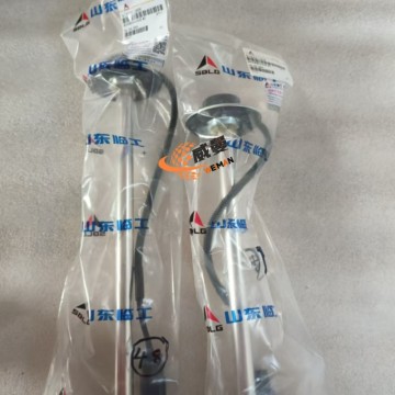 SDLG 4130001898 Fuel level sensor 0.3kg for machine with Good Quality and Price