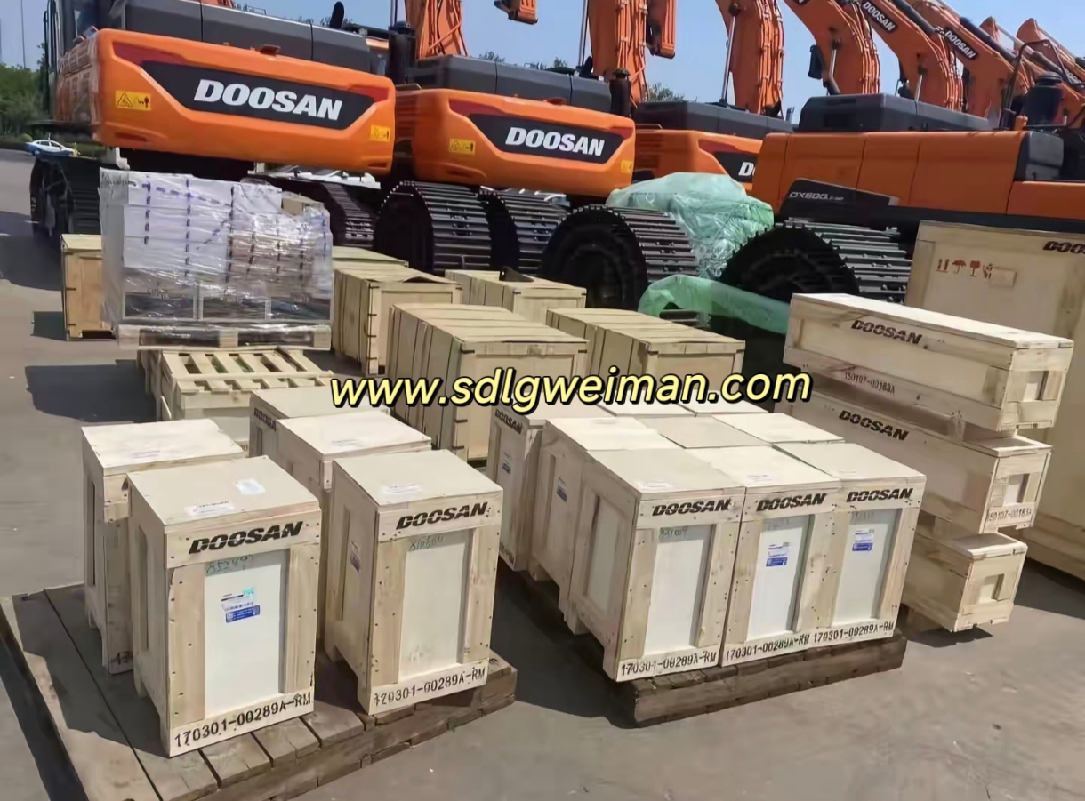 788aee9a15564af413a5e064c7be0f1a