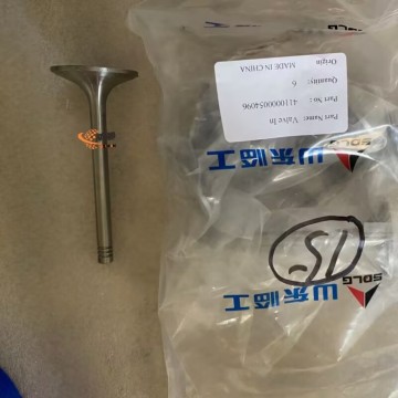 SDLG 4110000054096 Intake Valve 0.14kg for machine with good price